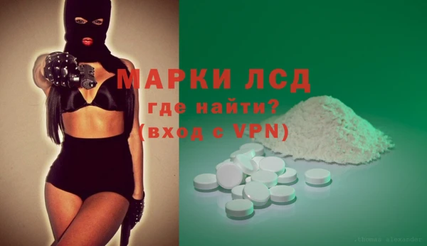 стаф Алзамай