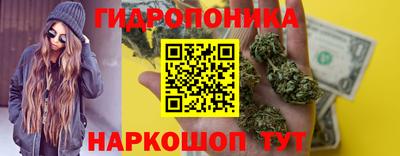 прущие крисы Тверь