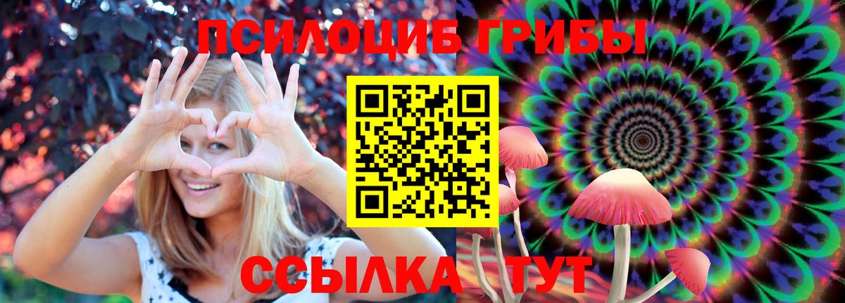 Псилоцибиновые грибы мицелий  Вход с VPN  Рославль  Псилоцибиновые грибы Psilocybine cubensis 