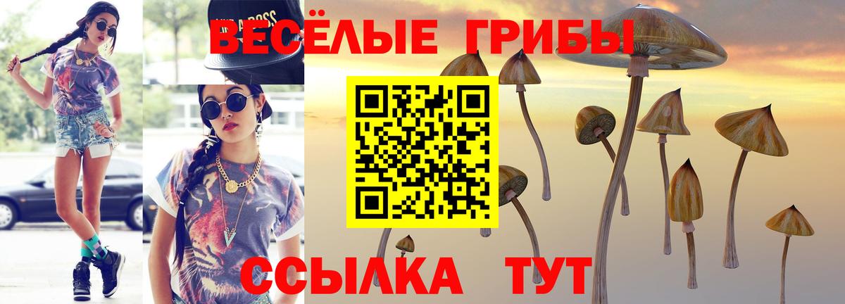Галлюциногенные грибы мухоморы Рославль